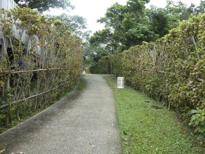 015 Garden of Shuri Castle