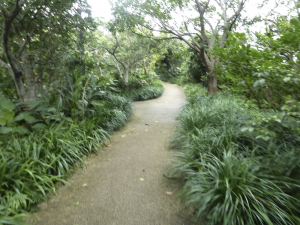 016 Garden of Shuri Castle