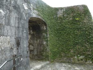 018 Garden of Shuri Castle