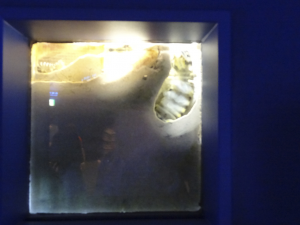 032 Okinawa Churaumi Aquarium