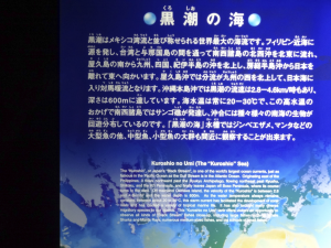051 Okinawa Churaumi Aquarium