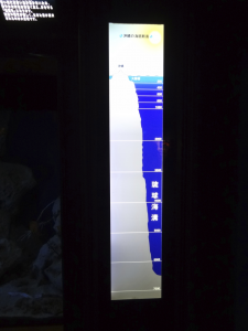 061 Okinawa Churaumi Aquarium