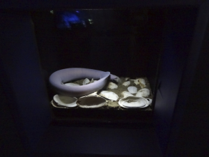 062 Okinawa Churaumi Aquarium