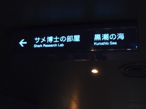 074 Okinawa Churaumi Aquarium