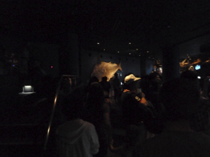 083 Okinawa Churaumi Aquarium