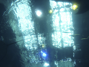 100 Okinawa Churaumi Aquarium