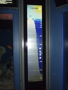 108 Okinawa Churaumi Aquarium