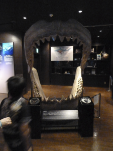 124 Okinawa Churaumi Aquarium