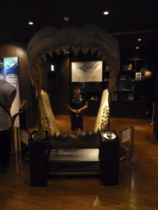 125 Okinawa Churaumi Aquarium