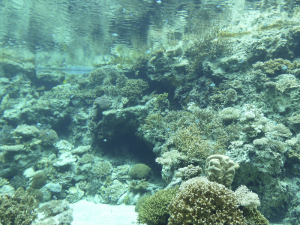 131 Okinawa Churaumi Aquarium