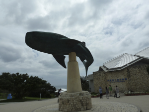 142 Ocean Expo Commemorative National Government Park
