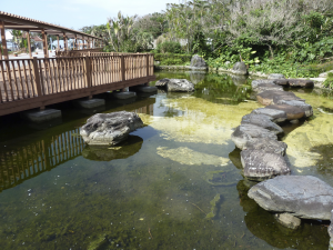 156 Ocean Expo Commemorative National Government Park