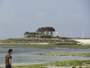 172 Ocean Expo Commemorative National Government Park