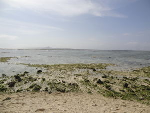 174 Ocean Expo Commemorative National Government Park