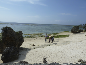 178 Ocean Expo Commemorative National Government Park