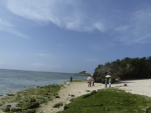 179 Ocean Expo Commemorative National Government Park