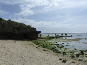 182 Ocean Expo Commemorative National Government Park