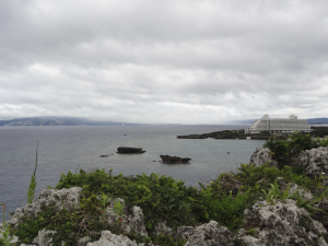 261 Cape Manza