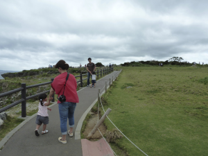 272 Cape Manza