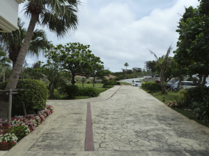 286 Cape Manza