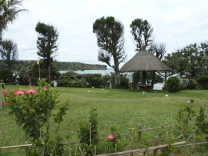 290 Cape Manza