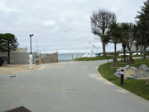 293 Cape Manza