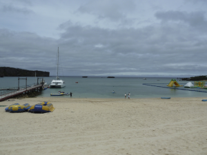 295 Cape Manza