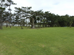 317 Okinawa Peace Memorial Park