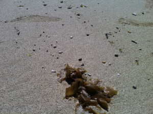 398 Miibaru beach