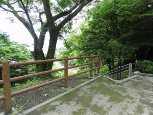 107 - July 5, (2) Kagoshima - Shiroyama Park