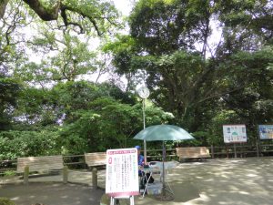 110 - July 5, (2) Kagoshima - Shiroyama Park