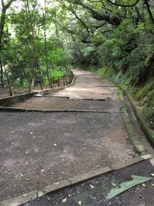 124 - July 5, (2) Kagoshima - Shiroyama Park