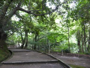 125 - July 5, (2) Kagoshima - Shiroyama Park