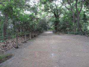 126 - July 5, (2) Kagoshima - Shiroyama Park