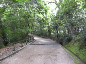 127 - July 5, (2) Kagoshima - Shiroyama Park