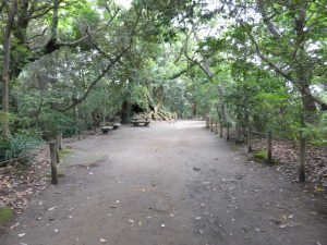 130 - July 5, (2) Kagoshima - Shiroyama Park