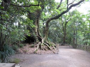 131 - July 5, (2) Kagoshima - Shiroyama Park
