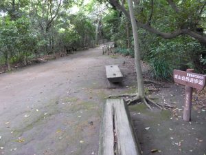 132 - July 5, (2) Kagoshima - Shiroyama Park