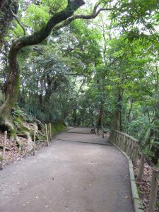 136 - July 5, (2) Kagoshima - Shiroyama Park