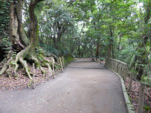 138 - July 5, (2) Kagoshima - Shiroyama Park