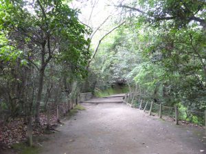 139 - July 5, (2) Kagoshima - Shiroyama Park