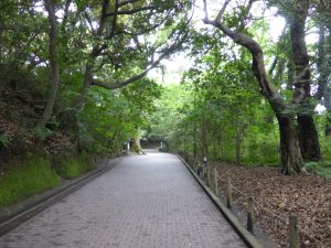 140 - July 5, (2) Kagoshima - Shiroyama Park