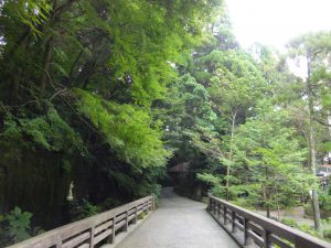 266 - July 6, (2) Ibusuki - Tousenkyou Nagashi-somen