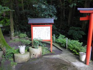 269 - July 6, (2) Ibusuki - Tousenkyou Nagashi-somen