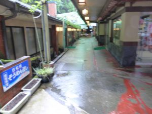 273 - July 6, (2) Ibusuki - Tousenkyou Nagashi-somen