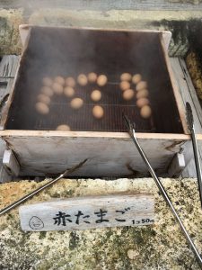 386 - July 6, (6) Ibusuki - Fushime Coast