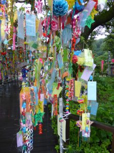 460 - July 7, (3) Dazaifu - Tenmangu