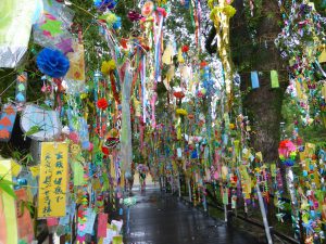 467 - July 7, (3) Dazaifu - Tenmangu