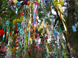 468 - July 7, (3) Dazaifu - Tenmangu