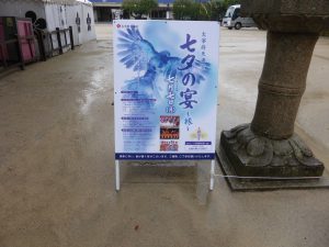 476 - July 7, (3) Dazaifu - Tenmangu